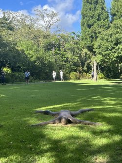 IMG_04650.jpeg IMG_04650.jpeg