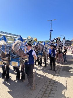 IMG_4433.jpeg IMG_4433.jpeg