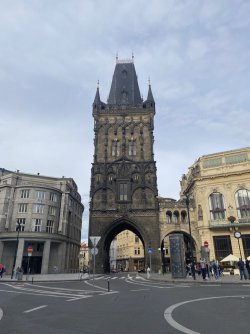 IMG_3627.jpeg IMG_3627.jpeg