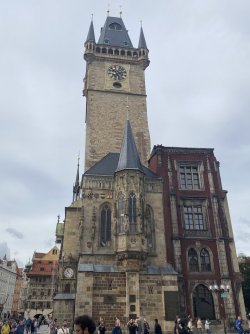 IMG_3634.jpeg IMG_3634.jpeg