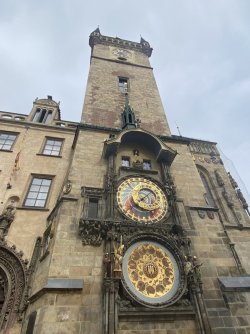 IMG_3638.jpeg IMG_3638.jpeg