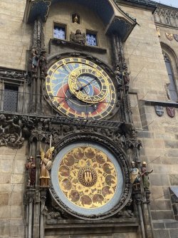 IMG_3639.jpeg IMG_3639.jpeg