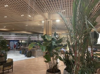 IMG_1376.jpeg IMG_1376.jpeg