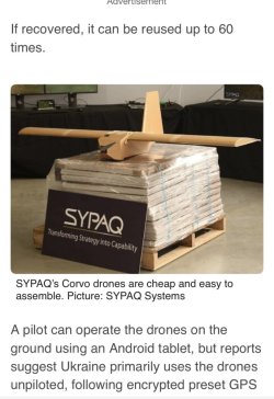 IMG_4590.jpeg IMG_4590.jpeg