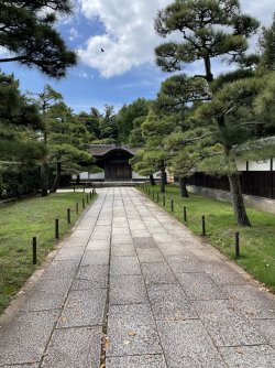 IMG_2332.jpeg IMG_2332.jpeg