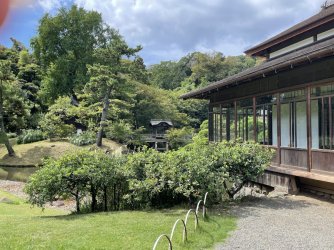 IMG_2333.jpeg IMG_2333.jpeg