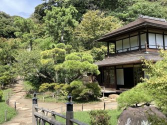 IMG_2335.jpeg IMG_2335.jpeg