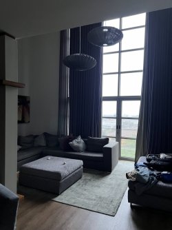 IMG_8119.jpeg IMG_8119.jpeg