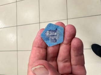 IMG_5440.jpeg IMG_5440.jpeg