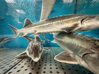 IMG_5443.jpeg IMG_5443.jpeg