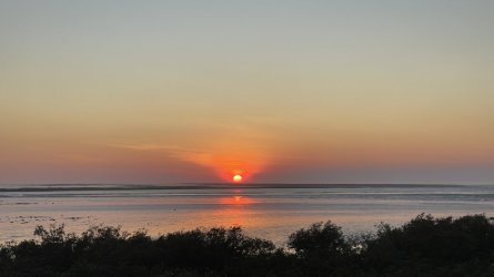 IMG_8403.JPG IMG_8403.JPG