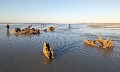PXL_20230902_223229885.jpg PXL_20230902_223229885.jpg