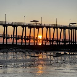 IMG_8408.JPG IMG_8408.JPG
