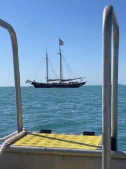 IMG_8475.JPG IMG_8475.JPG