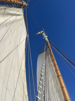 IMG_8493.JPG IMG_8493.JPG