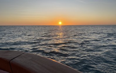 IMG_8501.JPG IMG_8501.JPG