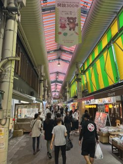 IMG_0836.jpeg IMG_0836.jpeg