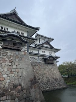 IMG_0877.jpeg IMG_0877.jpeg