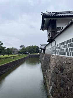 IMG_0875.jpeg IMG_0875.jpeg