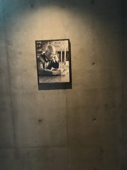 IMG_0914.jpeg IMG_0914.jpeg