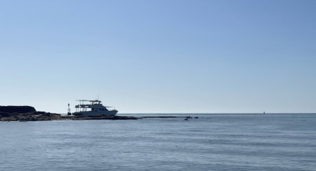 IMG_8525.JPG IMG_8525.JPG