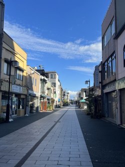 IMG_0981.jpeg IMG_0981.jpeg