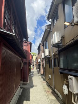 IMG_0998.jpeg IMG_0998.jpeg