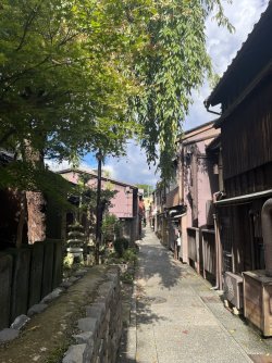 IMG_0997.jpeg IMG_0997.jpeg