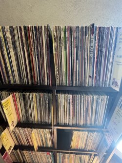 IMG_1025.jpeg IMG_1025.jpeg
