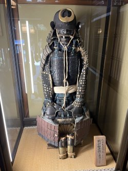 IMG_1059.jpeg IMG_1059.jpeg