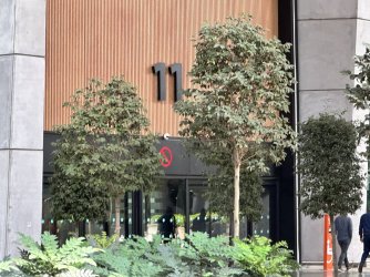 IMG_5635.JPG IMG_5635.JPG