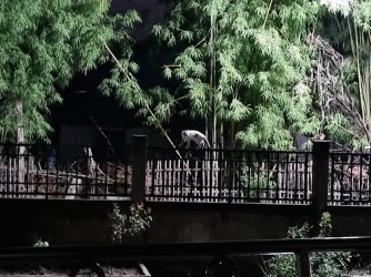 20230929_213610.jpg 20230929_213610.jpg