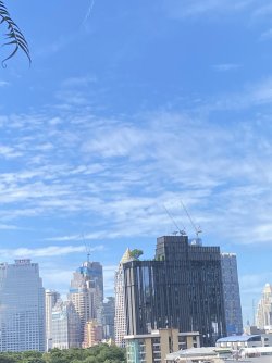 IMG_4693.jpeg IMG_4693.jpeg