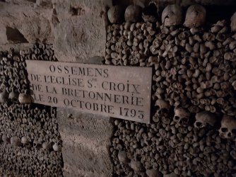 20231001_140505.jpg 20231001_140505.jpg