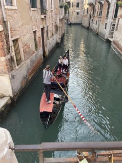 IMG_1540.jpeg IMG_1540.jpeg