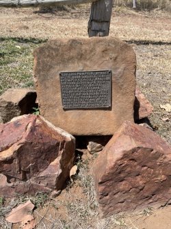 IMG_9218.JPG IMG_9218.JPG