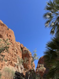 IMG_9496.JPG IMG_9496.JPG