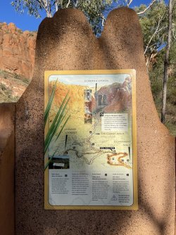 IMG_9544.JPG IMG_9544.JPG
