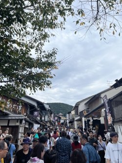 IMG_1134.jpeg IMG_1134.jpeg