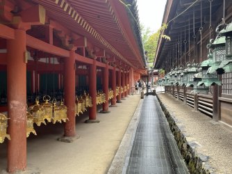 IMG_1185.jpeg IMG_1185.jpeg