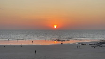 IMG_9822.JPG IMG_9822.JPG