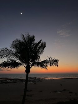IMG_9855.JPG IMG_9855.JPG