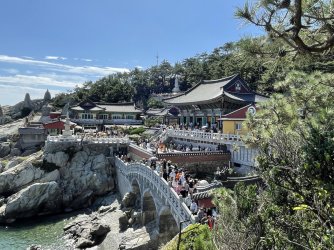 IMG_2432.jpeg IMG_2432.jpeg