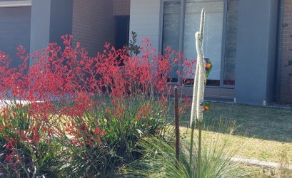 1696397245264.jpeg 1696397245264.jpeg