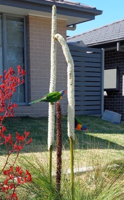 1696397270033.jpeg 1696397270033.jpeg