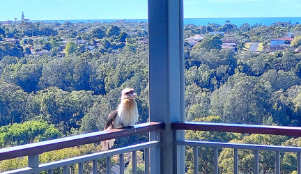 1696460231327.png 1696460231327.png