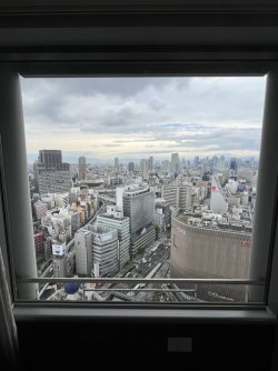 IMG_1294.jpeg IMG_1294.jpeg