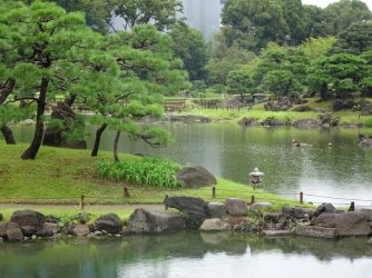 DSC03678.JPG DSC03678.JPG