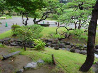 DSC03683.JPG DSC03683.JPG