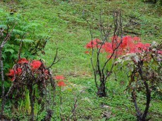 DSC03727.JPG DSC03727.JPG